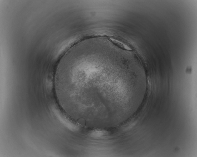 X0000113290402200909211108