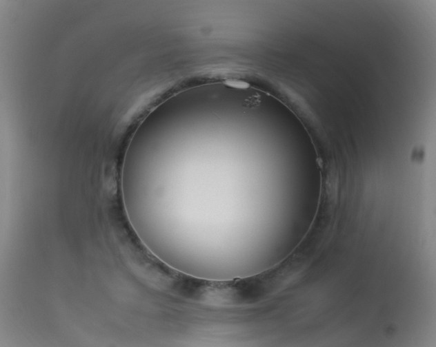 X0000113290403200909211108