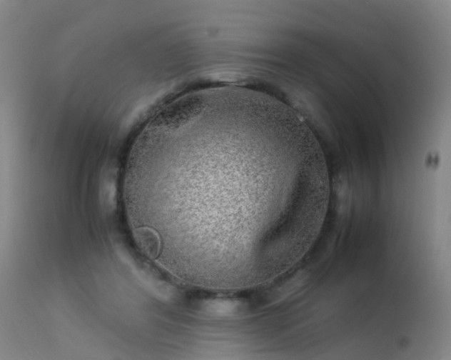 X0000113290404200909211108