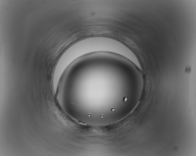 X0000113290405200909211108