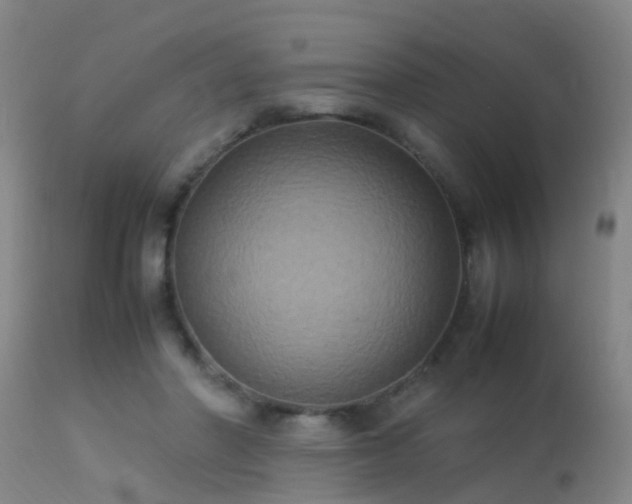 X0000113290406200909211108