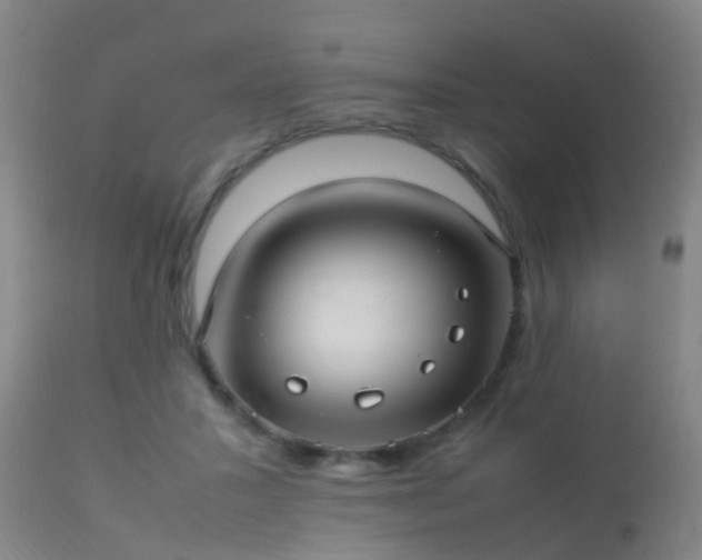 X0000113290407200909211108