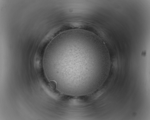 X0000113290408200909211108