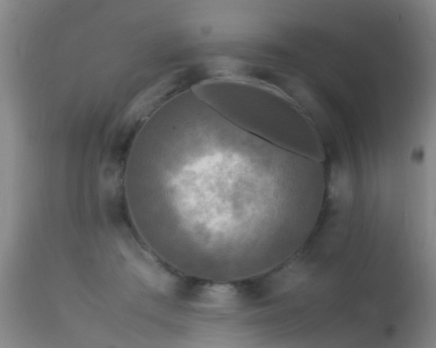 X0000113290409200909211108