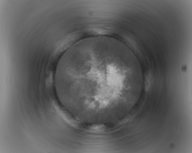 X0000113290410200909211108