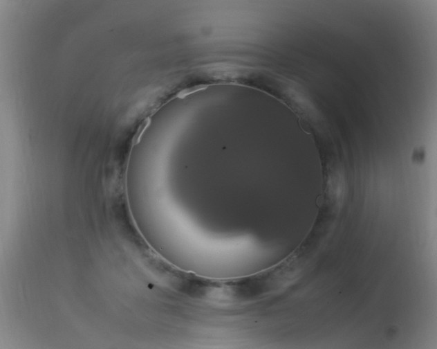 X0000113290411200909211108