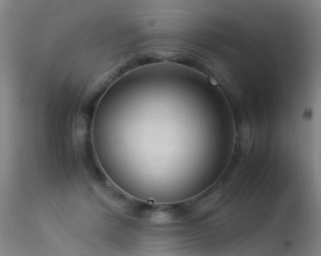 X0000113290412200909211108