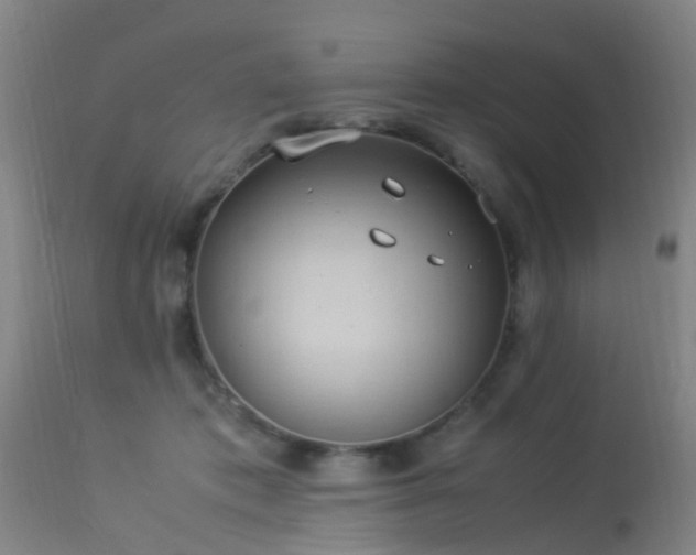 X0000113290413200909211108