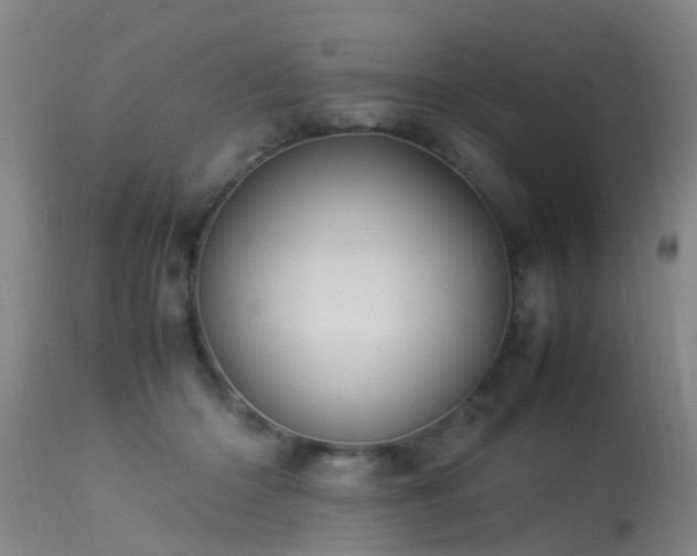 X0000113290414200909211108