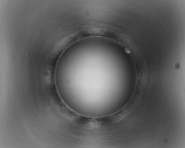 X0000113290416200909211108