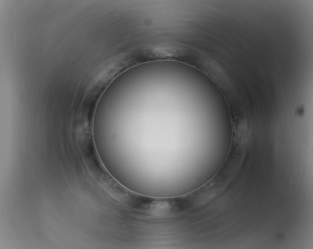 X0000113290418200909211108