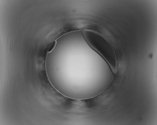 X0000113290421200909211108