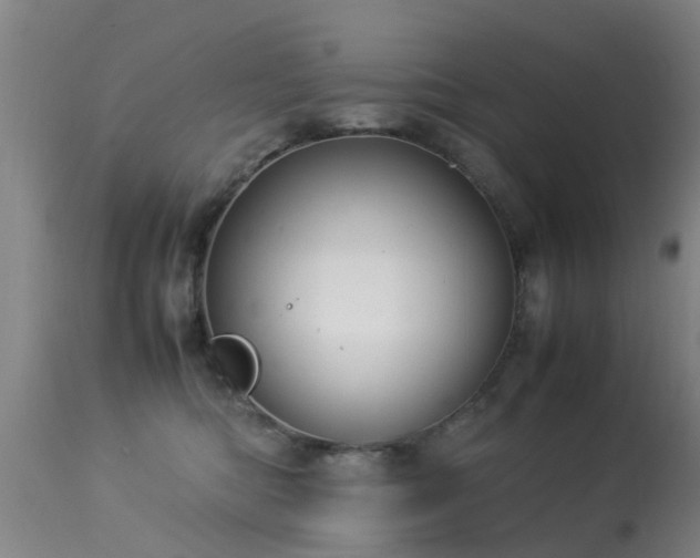 X0000113290422200909211108