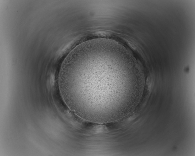 X0000113290424200909211108