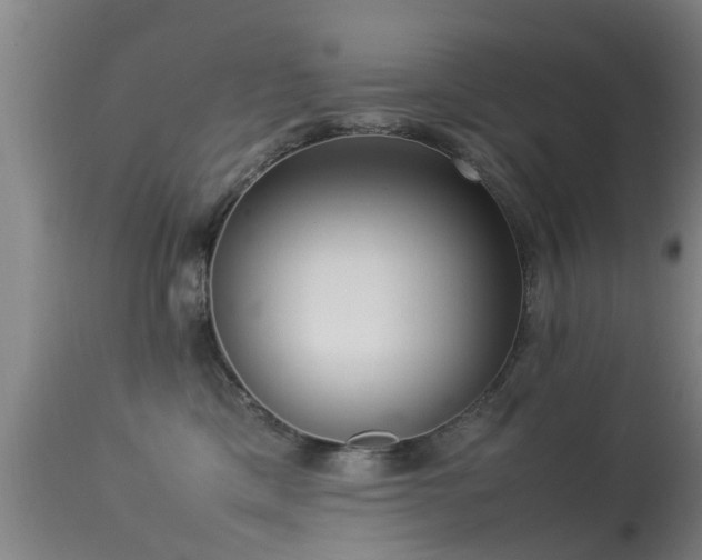 X0000113290425200909211108