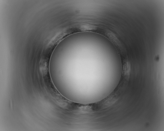 X0000113290426200909211108