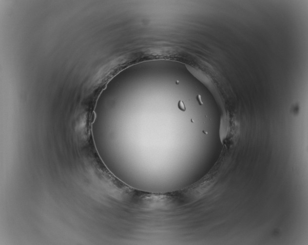 X0000113290428200909211108