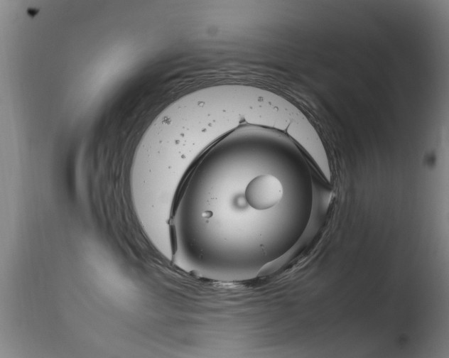 X0000113290429200909211108