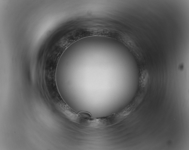 X0000113290430200909211108