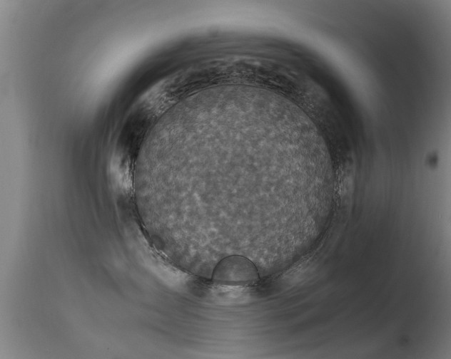 X0000113290431200909211108