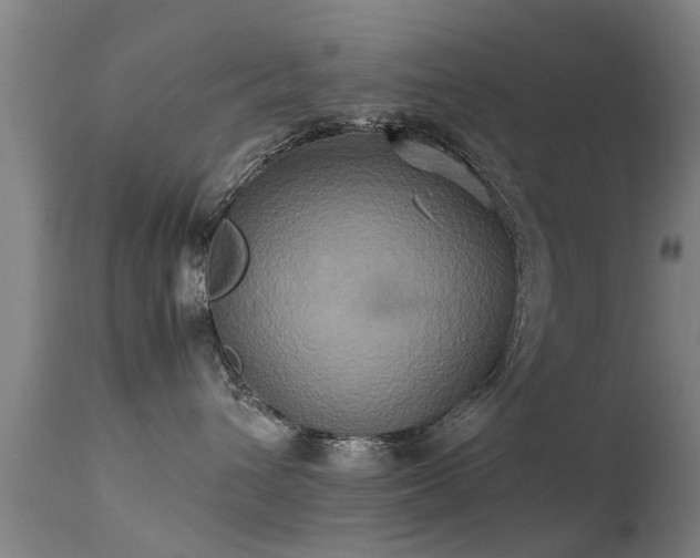 X0000113290432200909211108