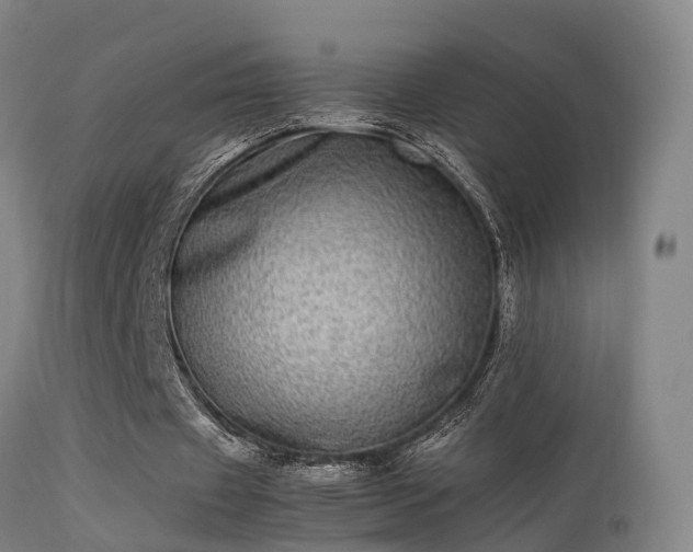 X0000113290433200909211107