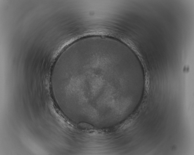 X0000113290434200909211107