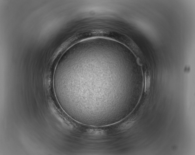 X0000113290435200909211107