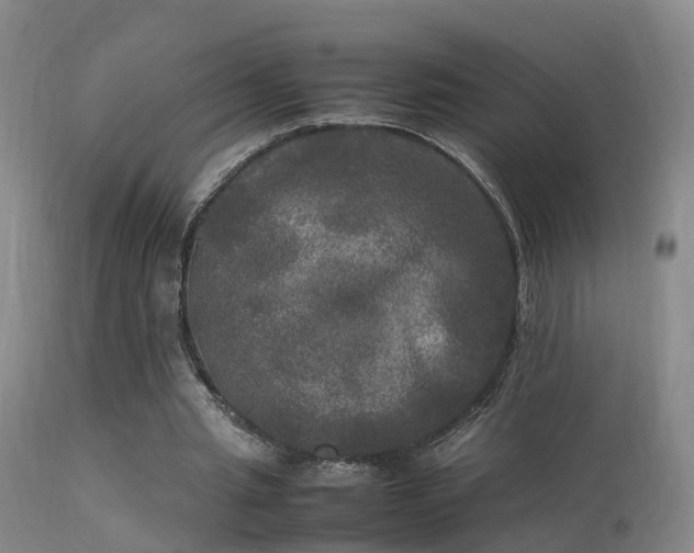 X0000113290437200909211107