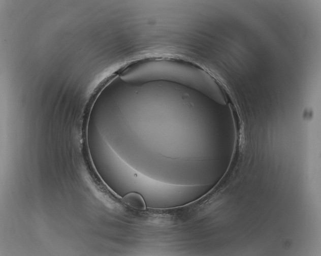 X0000113290438200909211107