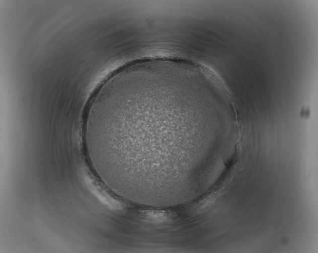 X0000113290439200909211107