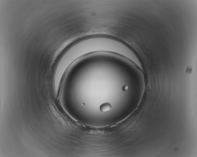 X0000113290440200909211107