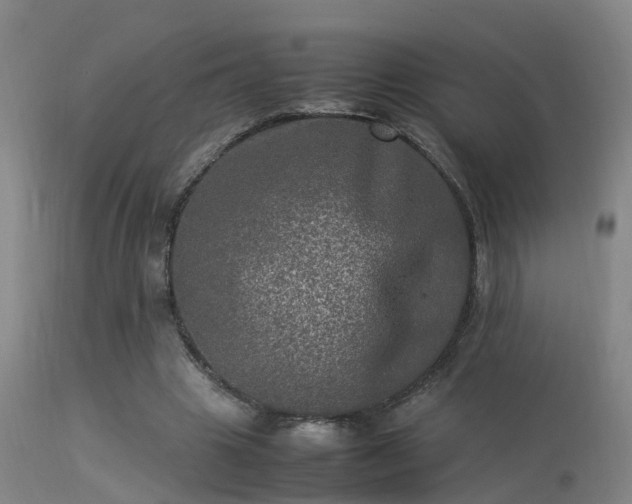 X0000113290441200909211107