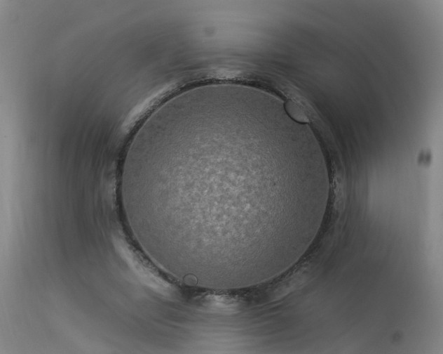 X0000113290442200909211107