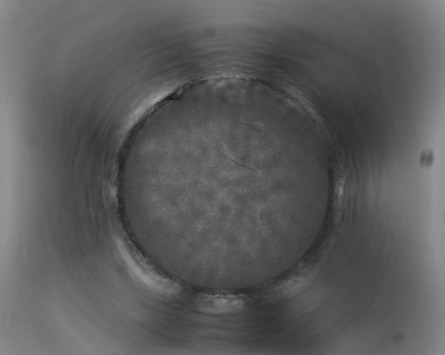 X0000113290443200909211107