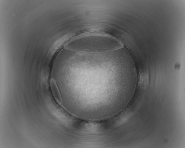 X0000113290444200909211107