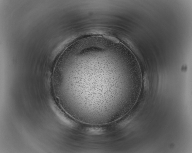 X0000113290445200909211107