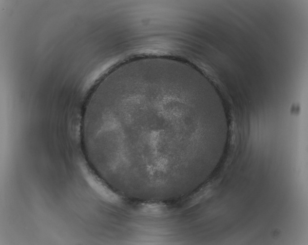 X0000113290446200909211107