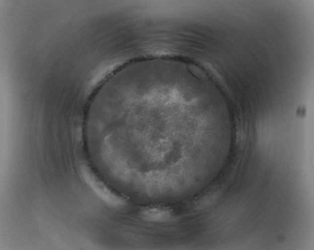 X0000113290447200909211107