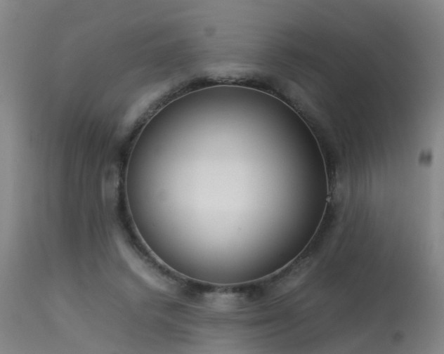 X0000113290448200909211107