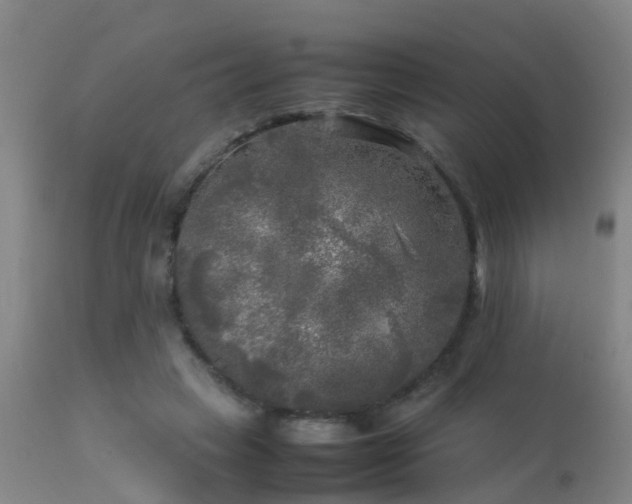 X0000113290449200909211107