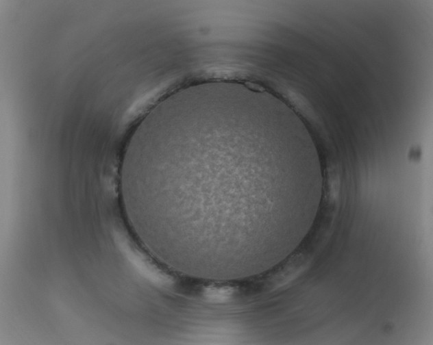 X0000113290450200909211107