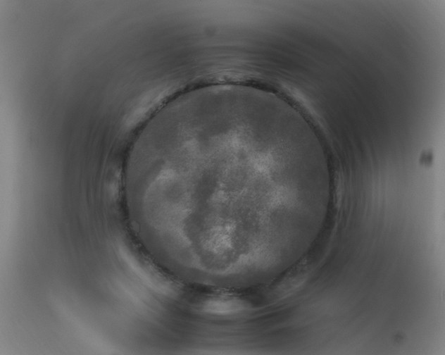 X0000113290451200909211107