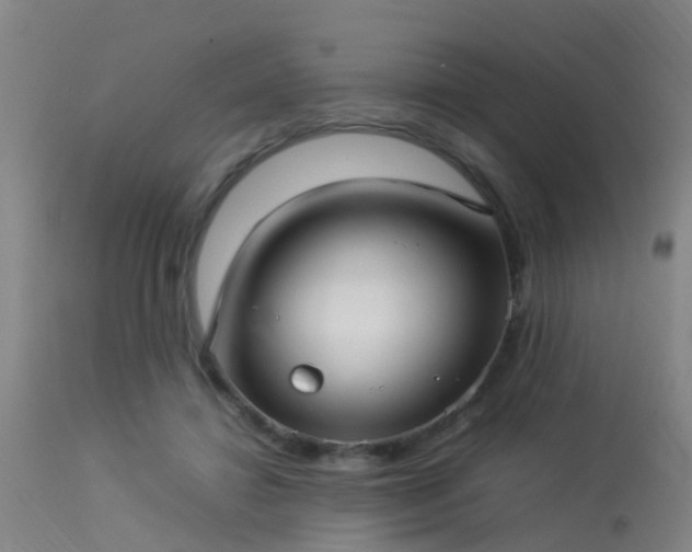 X0000113290452200909211107