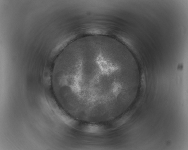 X0000113290453200909211107