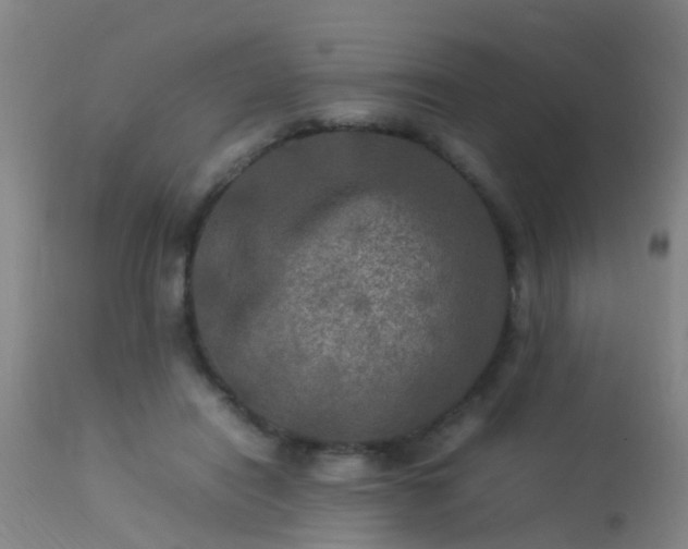 X0000113290454200909211107