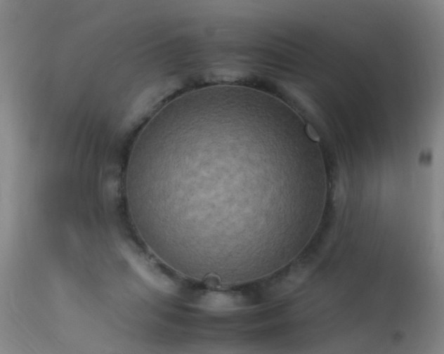 X0000113290455200909211107