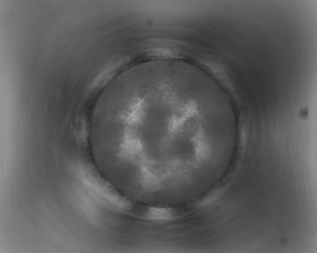 X0000113290457200909211107