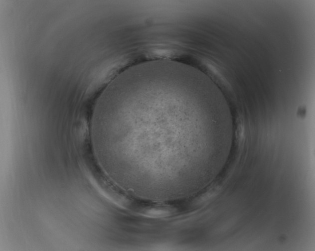 X0000113290459200909211107