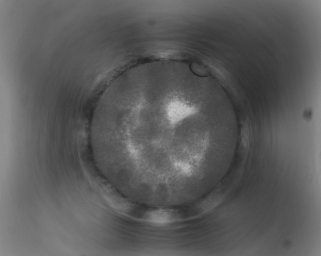 X0000113290461200909211107